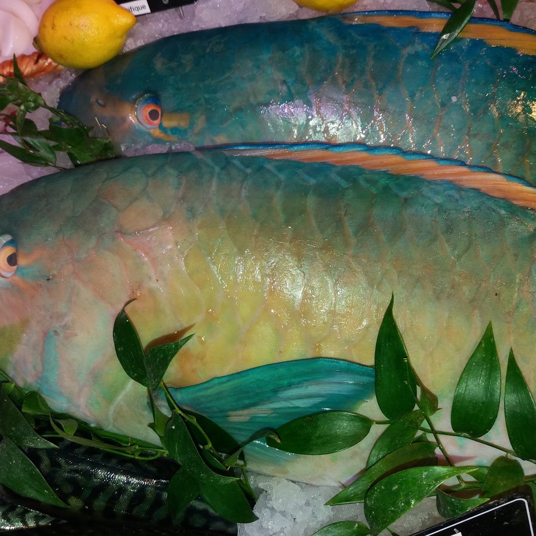 Poissonnerie des 4 chemins 1